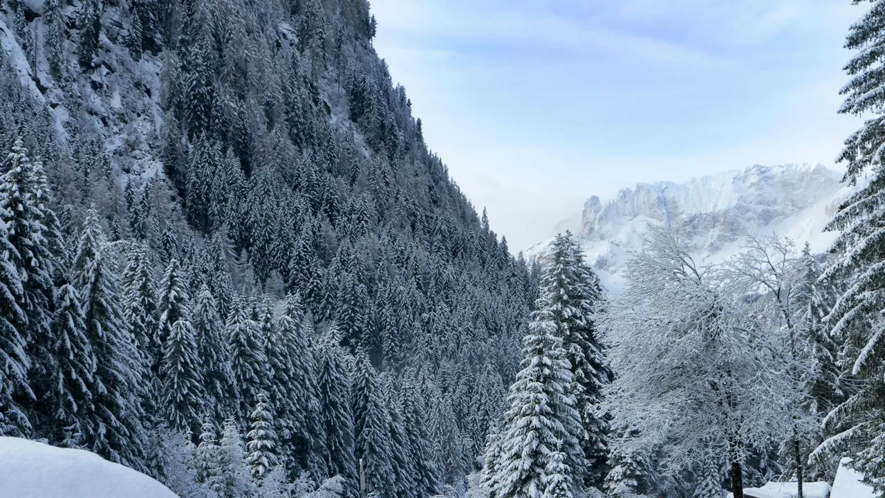 Skiurlaub in Moena i Italien